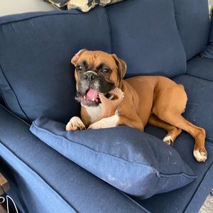 Meet your Posher, Meredith